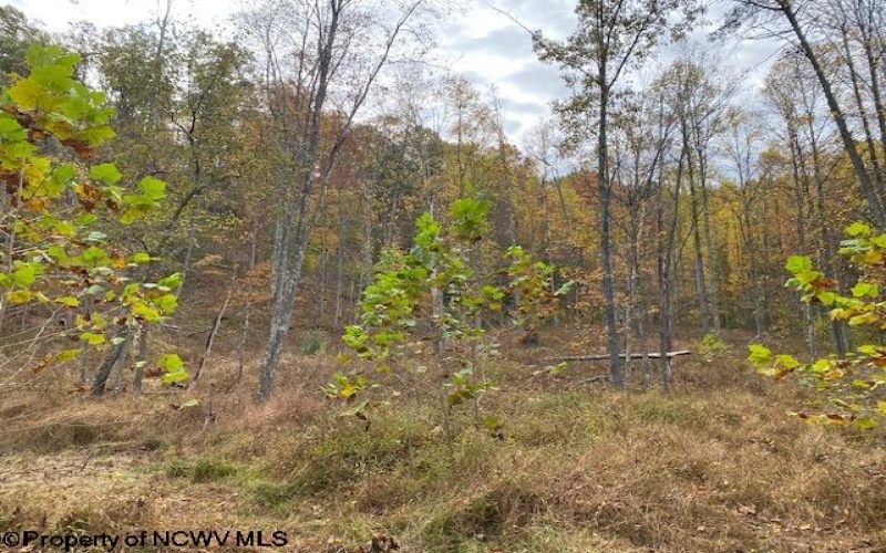 TBD Third Run Road, Glenville, West Virginia 26342, ,Lots/land,For Sale,Third Run,10162252