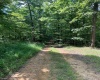 TBD Third Run Road, Glenville, West Virginia 26342, ,Lots/land,For Sale,Third Run,10162252