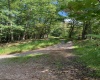 TBD Third Run Road, Glenville, West Virginia 26342, ,Lots/land,For Sale,Third Run,10162252