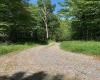 TBD Third Run Road, Glenville, West Virginia 26342, ,Lots/land,For Sale,Third Run,10162252