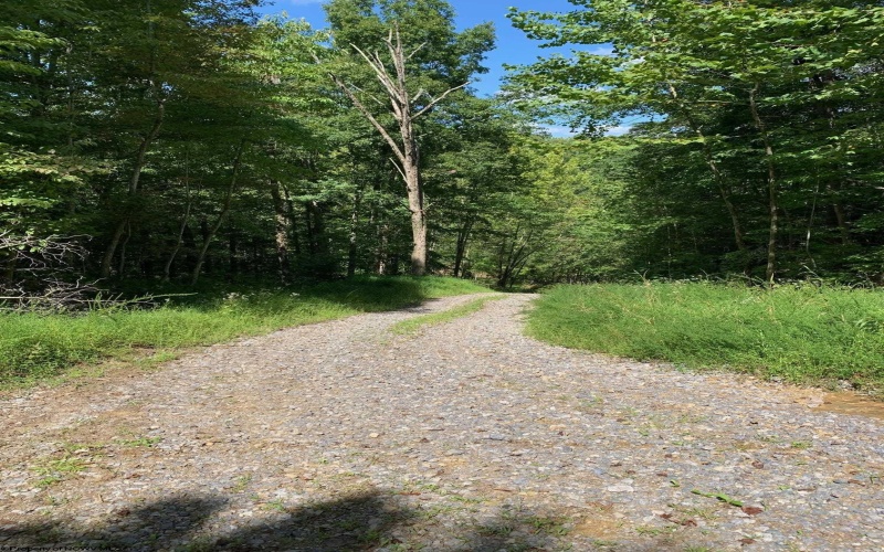 TBD Third Run Road, Glenville, West Virginia 26342, ,Lots/land,For Sale,Third Run,10162252