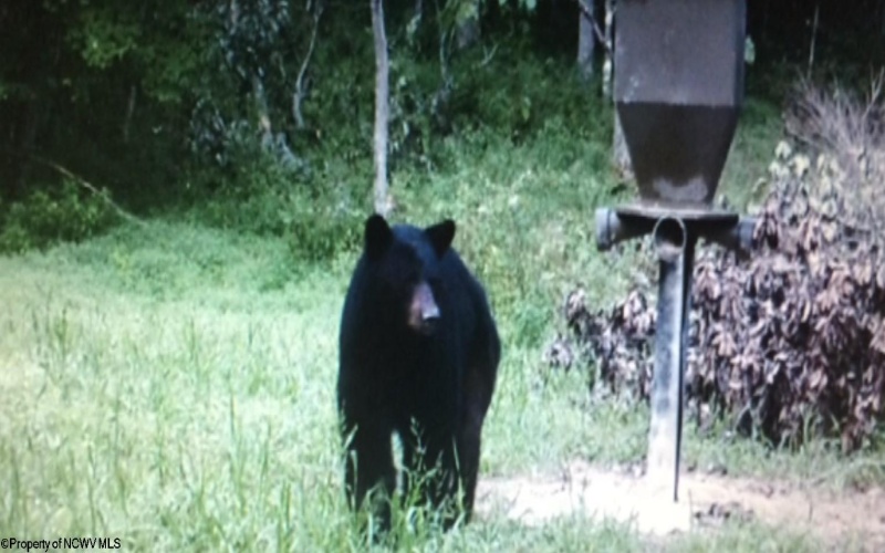 TBD Third Run Road, Glenville, West Virginia 26342, ,Lots/land,For Sale,Third Run,10162252