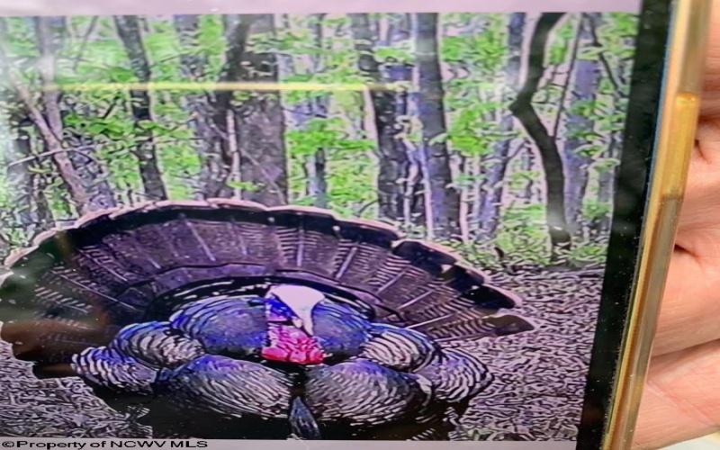 TBD Third Run Road, Glenville, West Virginia 26342, ,Lots/land,For Sale,Third Run,10162252