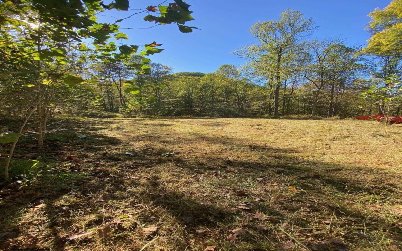 TBD Third Run Road, Glenville, West Virginia 26342, ,Lots/land,For Sale,Third Run,10162252