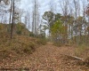 TBD Third Run Road, Glenville, West Virginia 26342, ,Lots/land,For Sale,Third Run,10162252