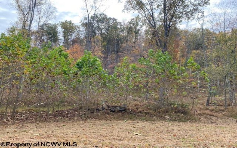 TBD Third Run Road, Glenville, West Virginia 26342, ,Lots/land,For Sale,Third Run,10162252