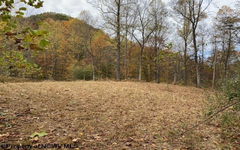 TBD Third Run Road, Glenville, West Virginia 26342, ,Lots/land,For Sale,Third Run,10162252