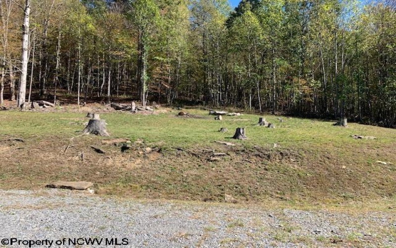 953 Tygart Junction Road, Philippi, West Virginia 26416, 2 Bedrooms Bedrooms, 8 Rooms Rooms,1 BathroomBathrooms,Single Family Detached,For Sale,Tygart Junction,10162250 953 Tygart Junction Road, Philippi, West Virginia 26416, 2 Bedrooms Bedrooms, 8 Rooms Rooms,1 BathroomBathrooms,Single Family Detached,For Sale,Tygart Junction,10162250