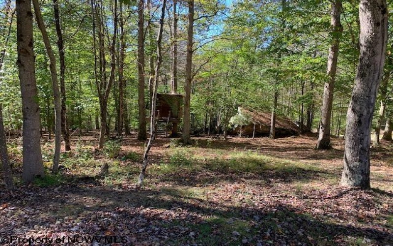 953 Tygart Junction Road, Philippi, West Virginia 26416, 2 Bedrooms Bedrooms, 8 Rooms Rooms,1 BathroomBathrooms,Single Family Detached,For Sale,Tygart Junction,10162250 953 Tygart Junction Road, Philippi, West Virginia 26416, 2 Bedrooms Bedrooms, 8 Rooms Rooms,1 BathroomBathrooms,Single Family Detached,For Sale,Tygart Junction,10162250