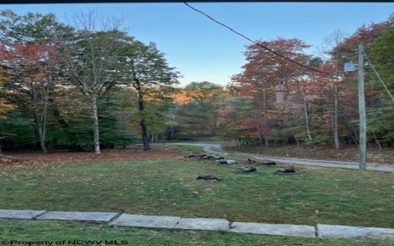 953 Tygart Junction Road, Philippi, West Virginia 26416, 2 Bedrooms Bedrooms, 8 Rooms Rooms,1 BathroomBathrooms,Single Family Detached,For Sale,Tygart Junction,10162250 953 Tygart Junction Road, Philippi, West Virginia 26416, 2 Bedrooms Bedrooms, 8 Rooms Rooms,1 BathroomBathrooms,Single Family Detached,For Sale,Tygart Junction,10162250