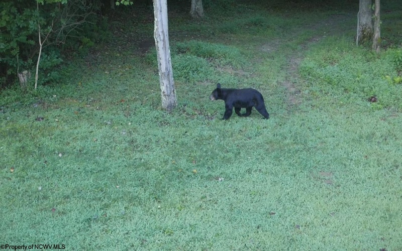 953 Tygart Junction Road, Philippi, West Virginia 26416, 2 Bedrooms Bedrooms, 8 Rooms Rooms,1 BathroomBathrooms,Single Family Detached,For Sale,Tygart Junction,10162250 953 Tygart Junction Road, Philippi, West Virginia 26416, 2 Bedrooms Bedrooms, 8 Rooms Rooms,1 BathroomBathrooms,Single Family Detached,For Sale,Tygart Junction,10162250