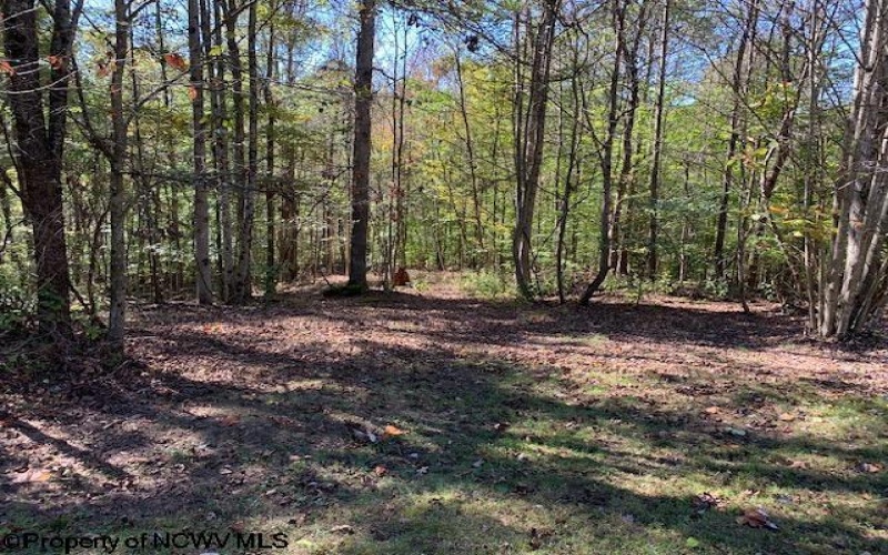 953 Tygart Junction Road, Philippi, West Virginia 26416, 2 Bedrooms Bedrooms, 8 Rooms Rooms,1 BathroomBathrooms,Single Family Detached,For Sale,Tygart Junction,10162250 953 Tygart Junction Road, Philippi, West Virginia 26416, 2 Bedrooms Bedrooms, 8 Rooms Rooms,1 BathroomBathrooms,Single Family Detached,For Sale,Tygart Junction,10162250