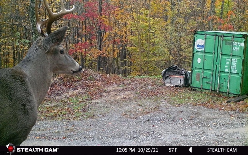 953 Tygart Junction Road, Philippi, West Virginia 26416, 2 Bedrooms Bedrooms, 8 Rooms Rooms,1 BathroomBathrooms,Single Family Detached,For Sale,Tygart Junction,10162250 953 Tygart Junction Road, Philippi, West Virginia 26416, 2 Bedrooms Bedrooms, 8 Rooms Rooms,1 BathroomBathrooms,Single Family Detached,For Sale,Tygart Junction,10162250