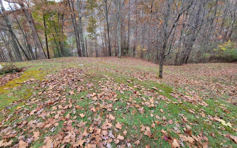 413 Main Street, Mannington, West Virginia 26582, 3 Bedrooms Bedrooms, 5 Rooms Rooms,2 BathroomsBathrooms,Single Family Detached,For Sale,Main,10162258 413 Main Street, Mannington, West Virginia 26582, 3 Bedrooms Bedrooms, 5 Rooms Rooms,2 BathroomsBathrooms,Single Family Detached,For Sale,Main,10162258