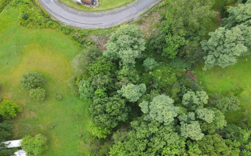 TBD Marfrance Road, Quinwood, West Virginia 25981, ,Lots/land,For Sale,Marfrance,10156078 TBD Marfrance Road, Quinwood, West Virginia 25981, ,Lots/land,For Sale,Marfrance,10156078