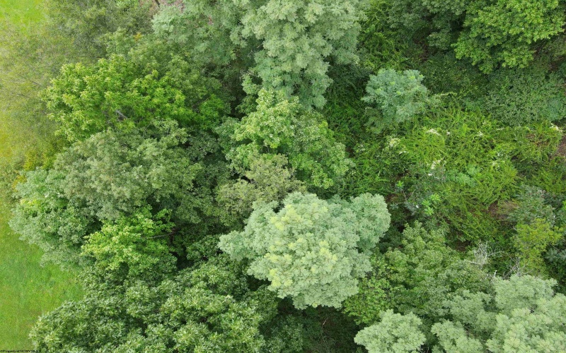 TBD Marfrance Road, Quinwood, West Virginia 25981, ,Lots/land,For Sale,Marfrance,10156078 TBD Marfrance Road, Quinwood, West Virginia 25981, ,Lots/land,For Sale,Marfrance,10156078