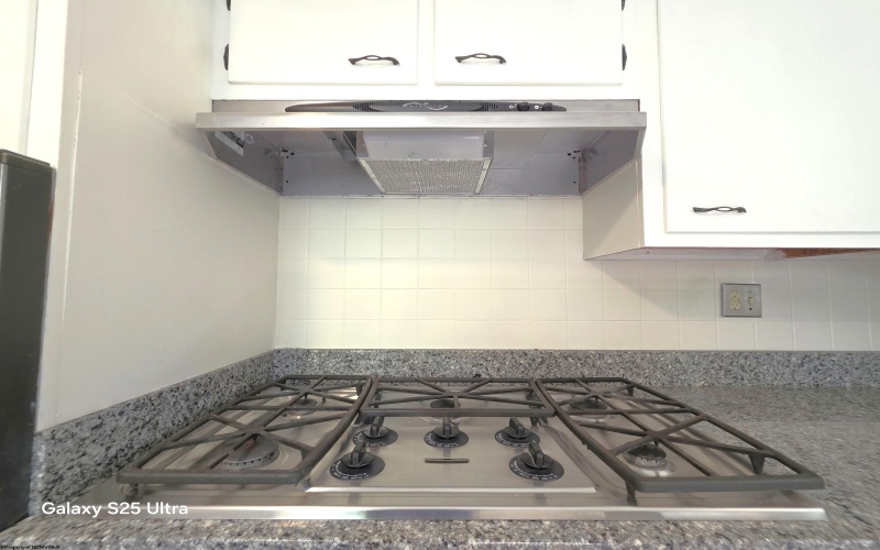 1231 College Park, Fairmont, West Virginia 26554, 4 Bedrooms Bedrooms, 7 Rooms Rooms,2 BathroomsBathrooms,Single Family Detached,For Sale,College,10162266