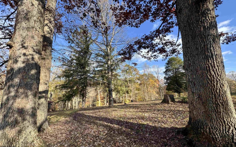 TBD Johnson Run, Fairmont, West Virginia 26554, ,Lots/land,For Sale,Johnson,10162261 TBD Johnson Run, Fairmont, West Virginia 26554, ,Lots/land,For Sale,Johnson,10162261