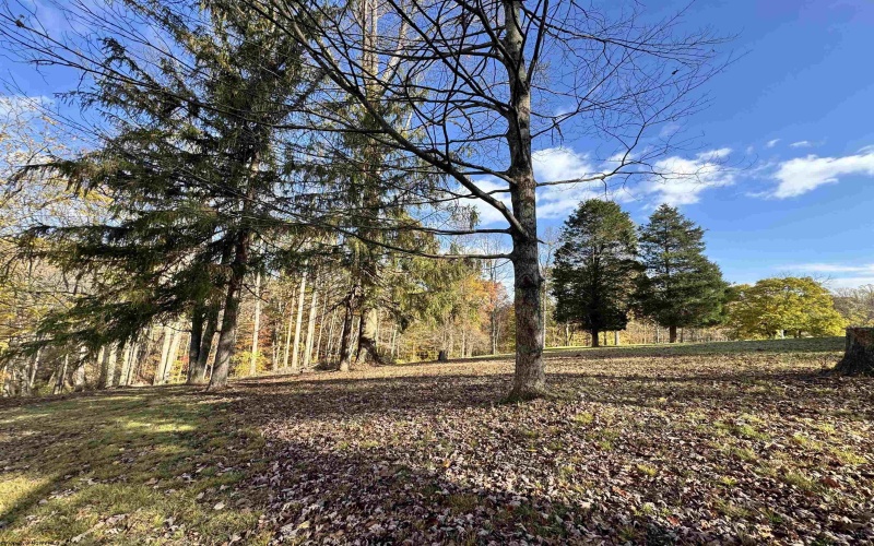 TBD Johnson Run, Fairmont, West Virginia 26554, ,Lots/land,For Sale,Johnson,10162261 TBD Johnson Run, Fairmont, West Virginia 26554, ,Lots/land,For Sale,Johnson,10162261