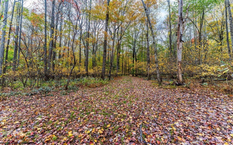 TBD Bortz Mine Road, Point Marion, Pennsylvania 15451, ,Lots/land,For Sale,Bortz Mine,10162282