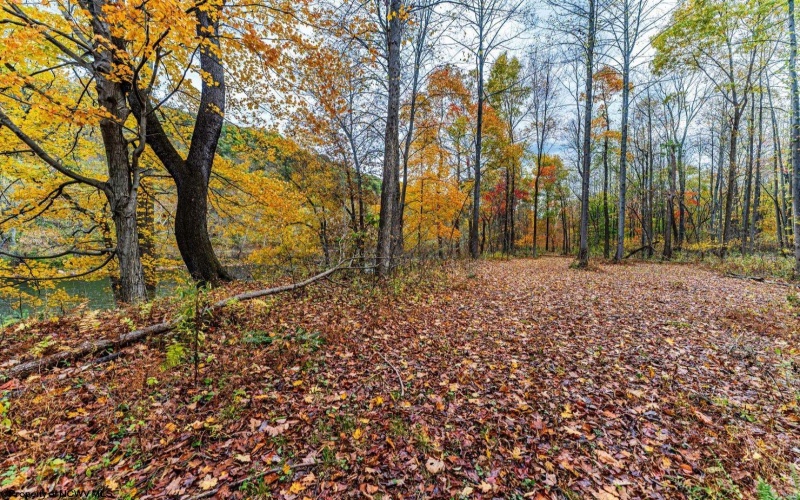 TBD Bortz Mine Road, Point Marion, Pennsylvania 15451, ,Lots/land,For Sale,Bortz Mine,10162282