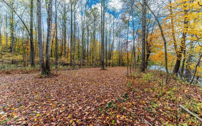 TBD Bortz Mine Road, Point Marion, Pennsylvania 15451, ,Lots/land,For Sale,Bortz Mine,10162282