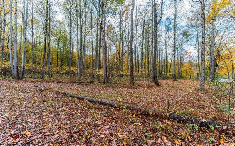 TBD Bortz Mine Road, Point Marion, Pennsylvania 15451, ,Lots/land,For Sale,Bortz Mine,10162282