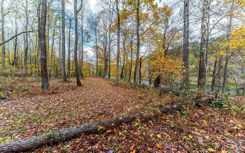 TBD Bortz Mine Road, Point Marion, Pennsylvania 15451, ,Lots/land,For Sale,Bortz Mine,10162282