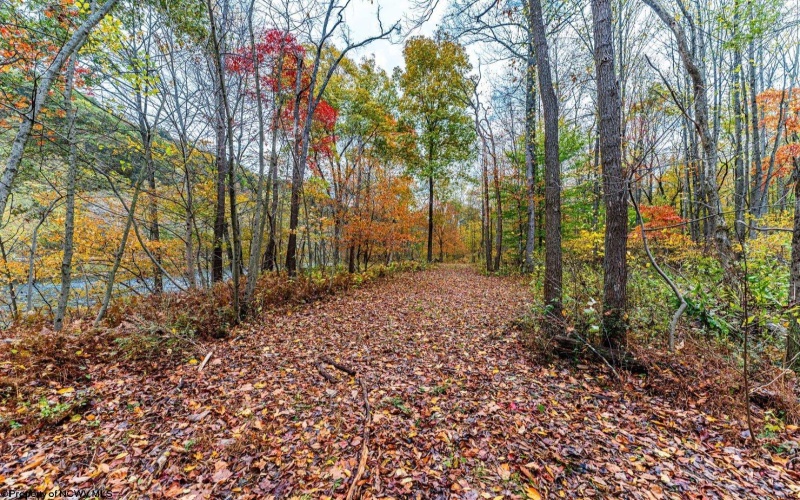 TBD Bortz Mine Road, Point Marion, Pennsylvania 15451, ,Lots/land,For Sale,Bortz Mine,10162282
