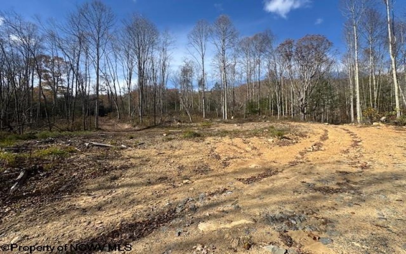 TBD RT 41 (RR), Mill Creek, West Virginia 26280, ,Lots/land,For Sale,RT 41,10162274 TBD RT 41 (RR), Mill Creek, West Virginia 26280, ,Lots/land,For Sale,RT 41,10162274