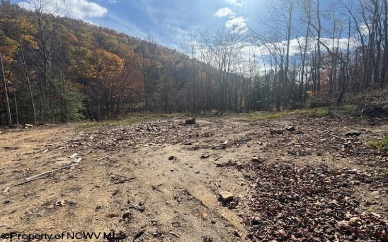 TBD RT 41 (RR), Mill Creek, West Virginia 26280, ,Lots/land,For Sale,RT 41,10162274 TBD RT 41 (RR), Mill Creek, West Virginia 26280, ,Lots/land,For Sale,RT 41,10162274