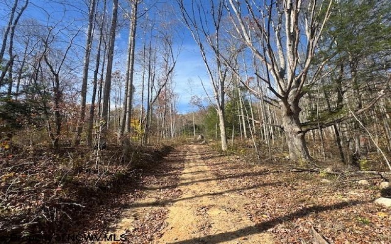 TBD RT 41 (RR), Mill Creek, West Virginia 26280, ,Lots/land,For Sale,RT 41,10162274 TBD RT 41 (RR), Mill Creek, West Virginia 26280, ,Lots/land,For Sale,RT 41,10162274