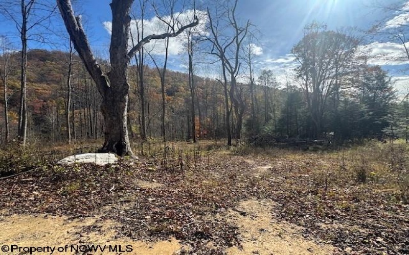 TBD RT 41 (RR), Mill Creek, West Virginia 26280, ,Lots/land,For Sale,RT 41,10162274 TBD RT 41 (RR), Mill Creek, West Virginia 26280, ,Lots/land,For Sale,RT 41,10162274