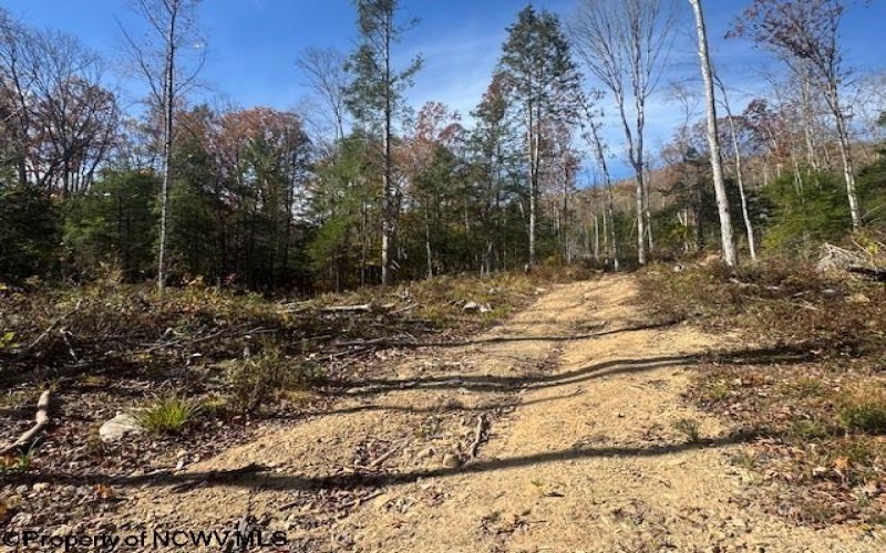 TBD RT 41 (RR), Mill Creek, West Virginia 26280, ,Lots/land,For Sale,RT 41,10162274 TBD RT 41 (RR), Mill Creek, West Virginia 26280, ,Lots/land,For Sale,RT 41,10162274