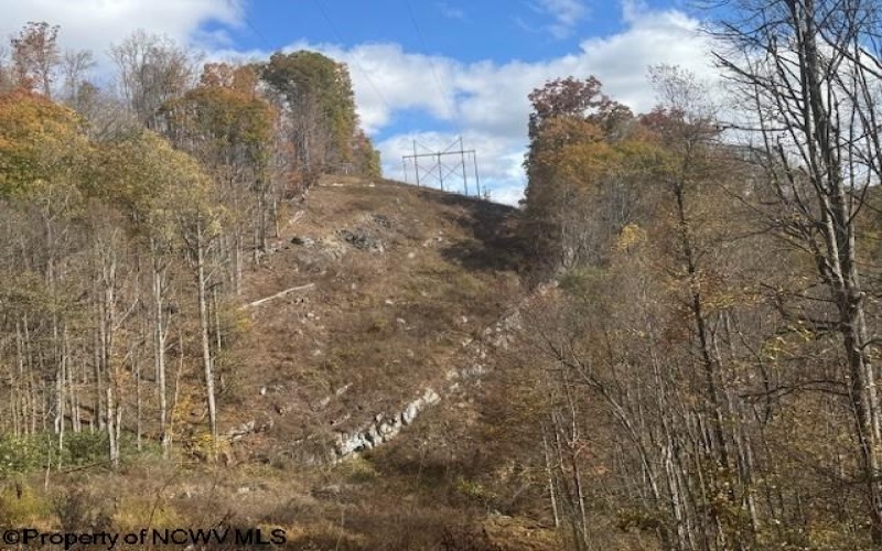 TBD RT 41 (RR), Mill Creek, West Virginia 26280, ,Lots/land,For Sale,RT 41,10162274 TBD RT 41 (RR), Mill Creek, West Virginia 26280, ,Lots/land,For Sale,RT 41,10162274
