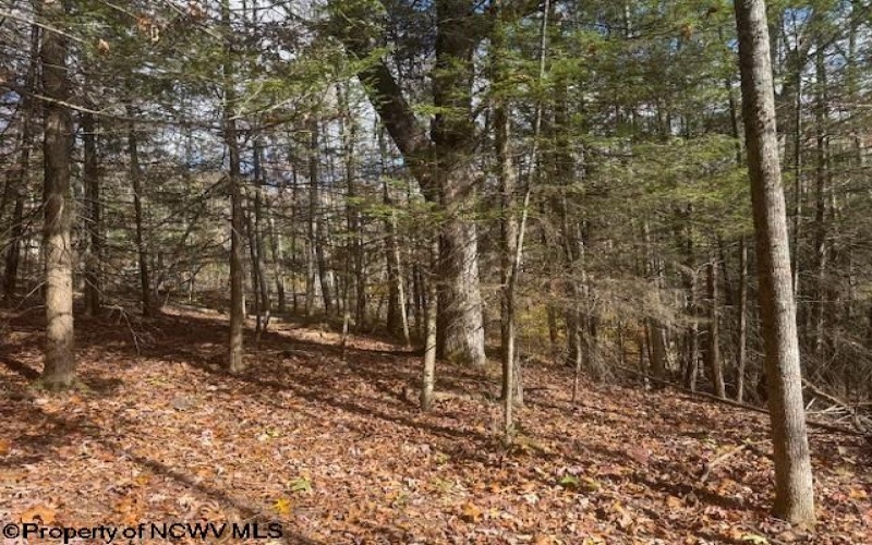 TBD RT 41 (RR), Mill Creek, West Virginia 26280, ,Lots/land,For Sale,RT 41,10162274 TBD RT 41 (RR), Mill Creek, West Virginia 26280, ,Lots/land,For Sale,RT 41,10162274