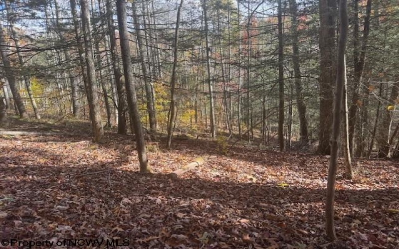 TBD RT 41 (RR), Mill Creek, West Virginia 26280, ,Lots/land,For Sale,RT 41,10162274 TBD RT 41 (RR), Mill Creek, West Virginia 26280, ,Lots/land,For Sale,RT 41,10162274