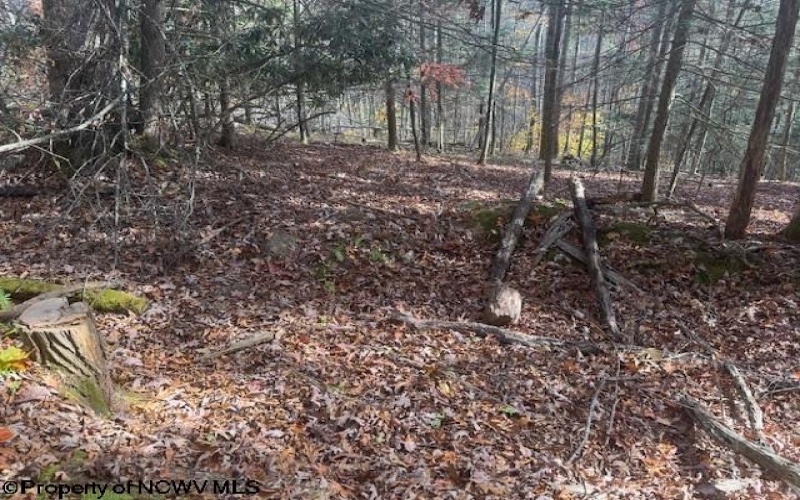 TBD RT 41 (RR), Mill Creek, West Virginia 26280, ,Lots/land,For Sale,RT 41,10162274 TBD RT 41 (RR), Mill Creek, West Virginia 26280, ,Lots/land,For Sale,RT 41,10162274