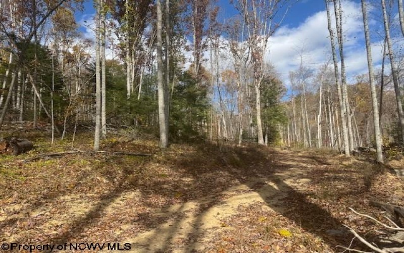 TBD RT 41 (RR), Mill Creek, West Virginia 26280, ,Lots/land,For Sale,RT 41,10162274 TBD RT 41 (RR), Mill Creek, West Virginia 26280, ,Lots/land,For Sale,RT 41,10162274
