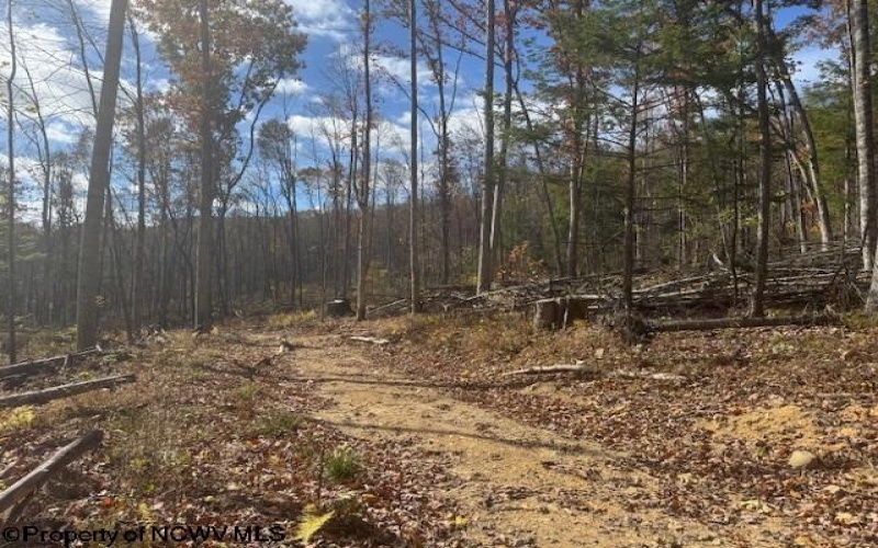 TBD RT 41 (RR), Mill Creek, West Virginia 26280, ,Lots/land,For Sale,RT 41,10162274 TBD RT 41 (RR), Mill Creek, West Virginia 26280, ,Lots/land,For Sale,RT 41,10162274