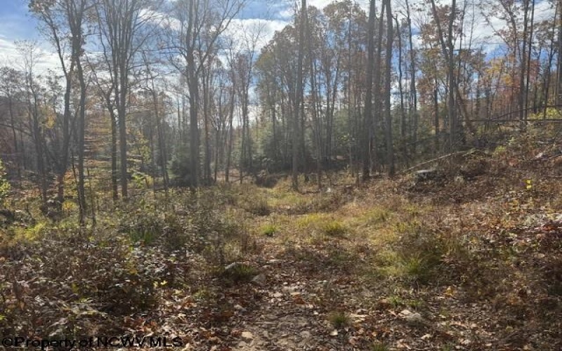 TBD RT 41 (RR), Mill Creek, West Virginia 26280, ,Lots/land,For Sale,RT 41,10162274 TBD RT 41 (RR), Mill Creek, West Virginia 26280, ,Lots/land,For Sale,RT 41,10162274