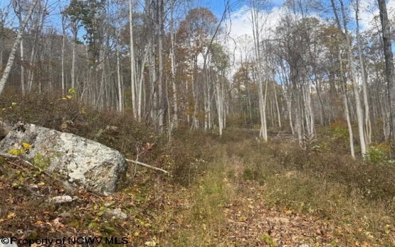 TBD RT 41 (RR), Mill Creek, West Virginia 26280, ,Lots/land,For Sale,RT 41,10162274 TBD RT 41 (RR), Mill Creek, West Virginia 26280, ,Lots/land,For Sale,RT 41,10162274