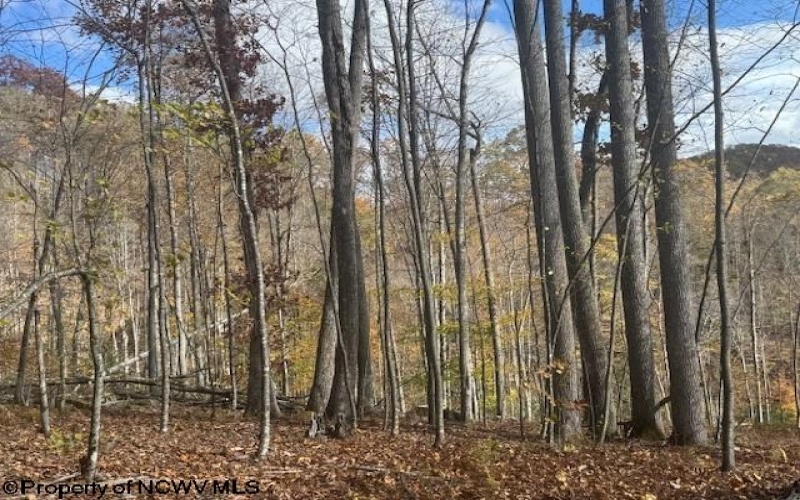 TBD RT 41 (RR), Mill Creek, West Virginia 26280, ,Lots/land,For Sale,RT 41,10162274 TBD RT 41 (RR), Mill Creek, West Virginia 26280, ,Lots/land,For Sale,RT 41,10162274