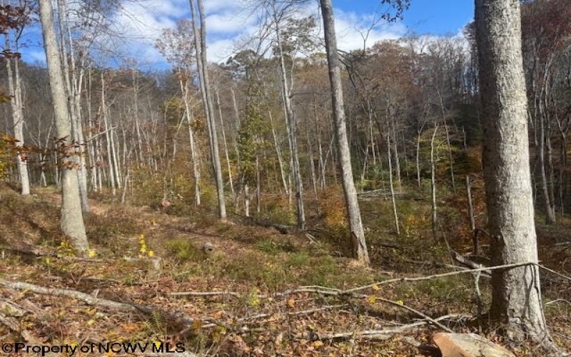 TBD RT 41 (RR), Mill Creek, West Virginia 26280, ,Lots/land,For Sale,RT 41,10162274 TBD RT 41 (RR), Mill Creek, West Virginia 26280, ,Lots/land,For Sale,RT 41,10162274