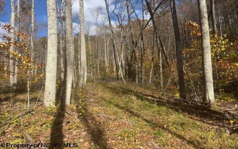 TBD RT 41 (RR), Mill Creek, West Virginia 26280, ,Lots/land,For Sale,RT 41,10162274 TBD RT 41 (RR), Mill Creek, West Virginia 26280, ,Lots/land,For Sale,RT 41,10162274