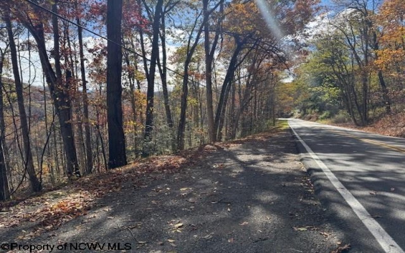 TBD RT 41 (RR), Mill Creek, West Virginia 26280, ,Lots/land,For Sale,RT 41,10162274 TBD RT 41 (RR), Mill Creek, West Virginia 26280, ,Lots/land,For Sale,RT 41,10162274