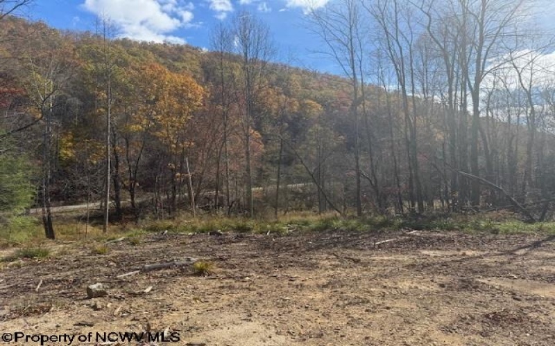 TBD RT 41 (RR), Mill Creek, West Virginia 26280, ,Lots/land,For Sale,RT 41,10162274 TBD RT 41 (RR), Mill Creek, West Virginia 26280, ,Lots/land,For Sale,RT 41,10162274
