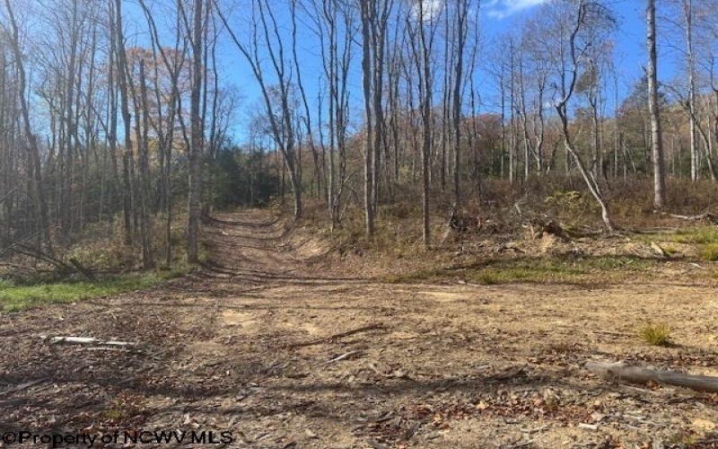 TBD RT 41 (RR), Mill Creek, West Virginia 26280, ,Lots/land,For Sale,RT 41,10162274 TBD RT 41 (RR), Mill Creek, West Virginia 26280, ,Lots/land,For Sale,RT 41,10162274