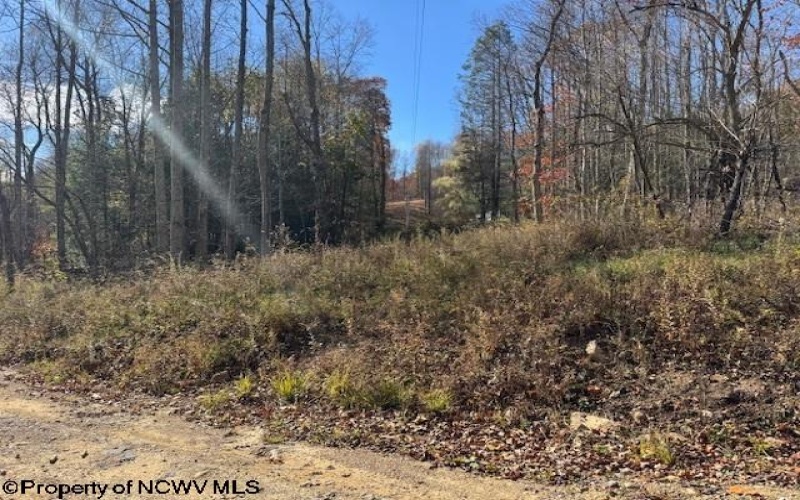 TBD RT 41 (RR), Mill Creek, West Virginia 26280, ,Lots/land,For Sale,RT 41,10162274 TBD RT 41 (RR), Mill Creek, West Virginia 26280, ,Lots/land,For Sale,RT 41,10162274