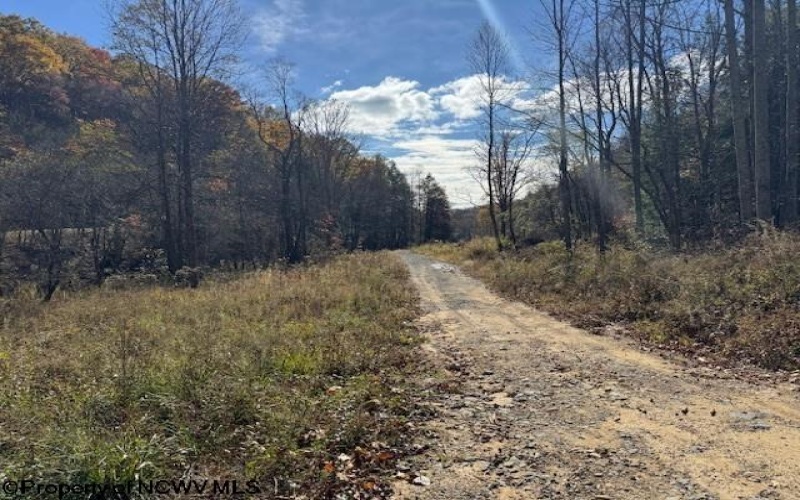 TBD RT 41 (RR), Mill Creek, West Virginia 26280, ,Lots/land,For Sale,RT 41,10162274 TBD RT 41 (RR), Mill Creek, West Virginia 26280, ,Lots/land,For Sale,RT 41,10162274